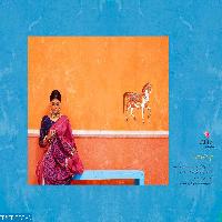 Rajtex kaashi Silk Wholesale Rich look Silk Saree